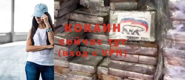 крисы Алзамай